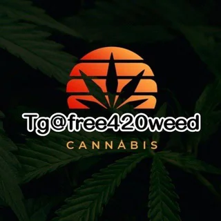 tg@free420weed🌈亞洲大麻交流群-420大麻煙@free420weed油LSD迷幻THC（台灣香港中国） - Group with 1675 groups in Common