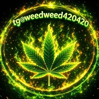 🚀tg@weedweed420420🚀亞洲最大Tg大麻420專門店(台灣中國大陸香港)(mdma迷幻蘑菇thc油LSD)Telegram - Group with 2830 groups in Art/Design/Photography