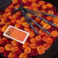 SEVDA 🌺FLOWERS 🌸💐🌷☺️🌷🌺😘😘💐🪴@sifatli_arzon_gullar_1 - Group with 579 groups in Common