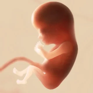 🤱Будущие мамы и мамы 🤰 | Севастополь | Крым telegram Group link