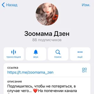 Зоомама Дзен ‼️Чат‼️ telegram Group link