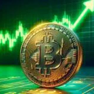 Bitcoin investment telegram Group link