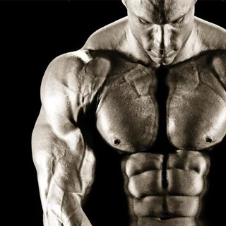 Bodybuilding & Fitness Books ebooks - Channel with 11435 channels in Health/Beauty/Fitness