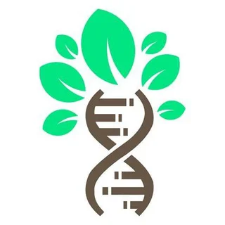 BST Quiz Group 🌾🦋 telegram Group link