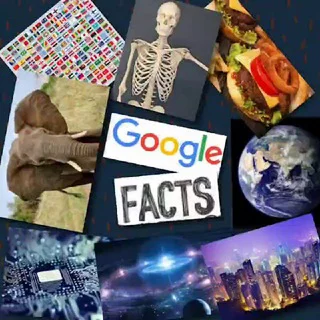 Google Facts™ [ ️@googlefactss🌎] telegram Group link