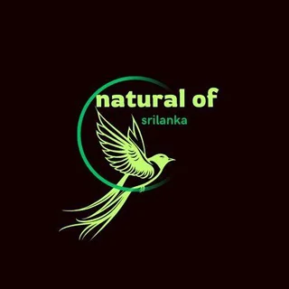 natural of srilanka - Channel with 270 channels in Travel/Local/Place