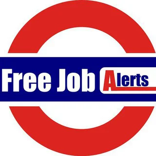 Free Job 🇮🇳 - Group with 243 groups in Jobs/Career