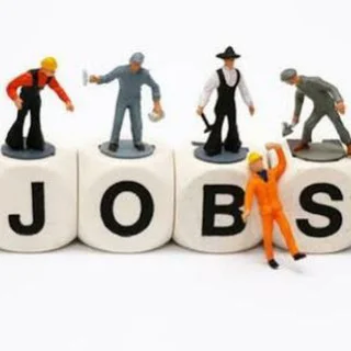 Naukari Jobs Govt Exam Sarkaari Naukari Govt Jobs Sarkari Jobs Sarkari Naukari Government Jobs - Channel with 4392 channels in Jobs/Career