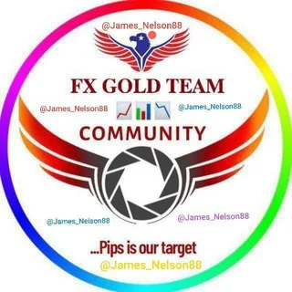 📈FX GOLD TEAM📉 - Channel with 60 channels in Business/Advertising/Marketing