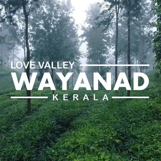 Wayanad chat telegram Group link